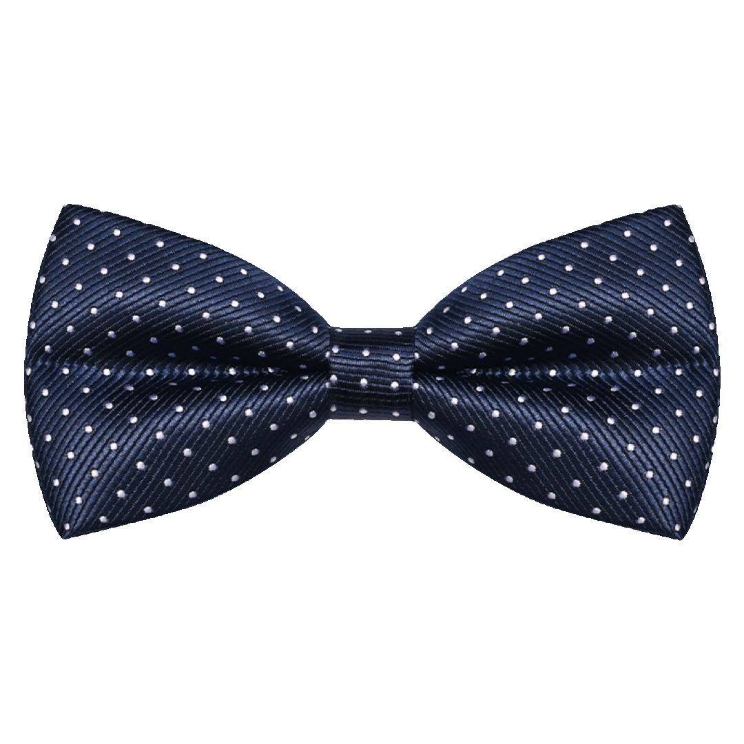 The Modern Gent's blue Bow | Mini Dots